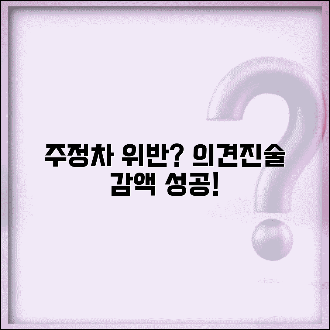주정차위반 의견진술 후기 감액 사례 총정리