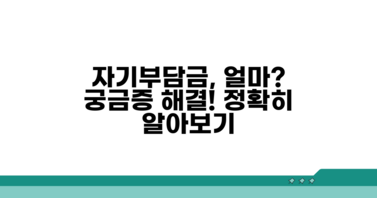 자기부담금, 얼마를 내야 할까?