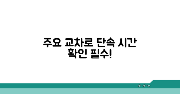 주요 교차로 단속 시간 확인