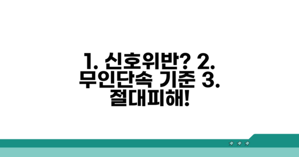교차로 신호위반 무인단속 기준