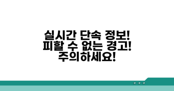 실시간 단속 정보와 주의사항