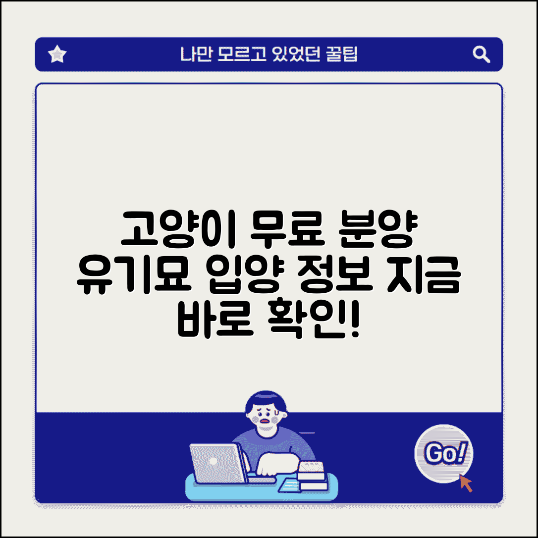 고양이 무료분양 사이트 유기묘 입양 정보