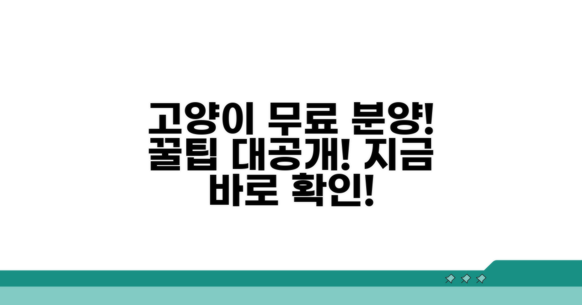 고양이 무료분양 사이트 이용법