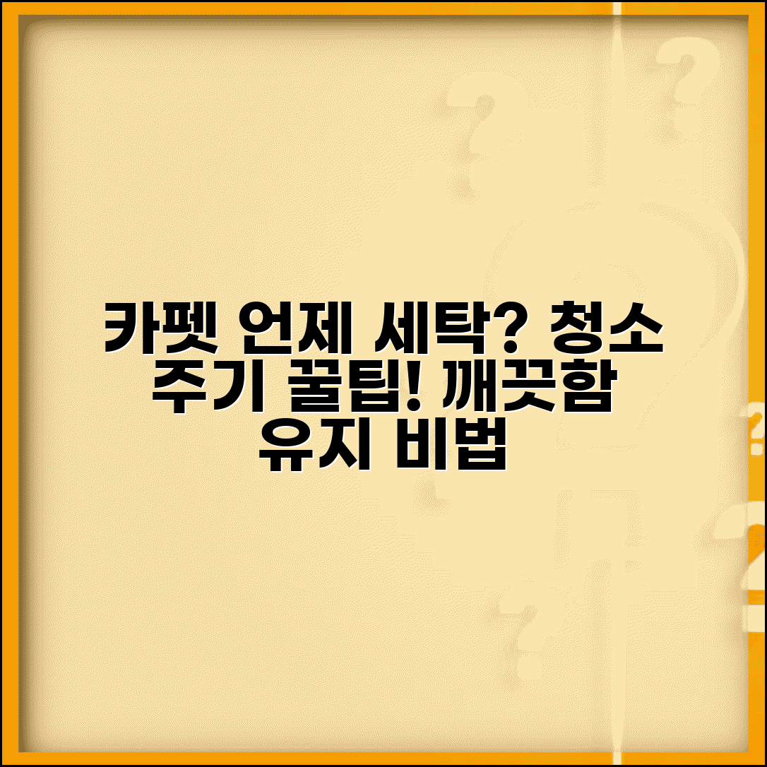 카펫 세탁 시기 얼마나 자주 | 카펫 청소 방법, 주기, 꿀팁 총정리