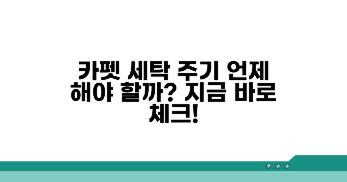 카펫 세탁 주기, 언제 해야 할까?