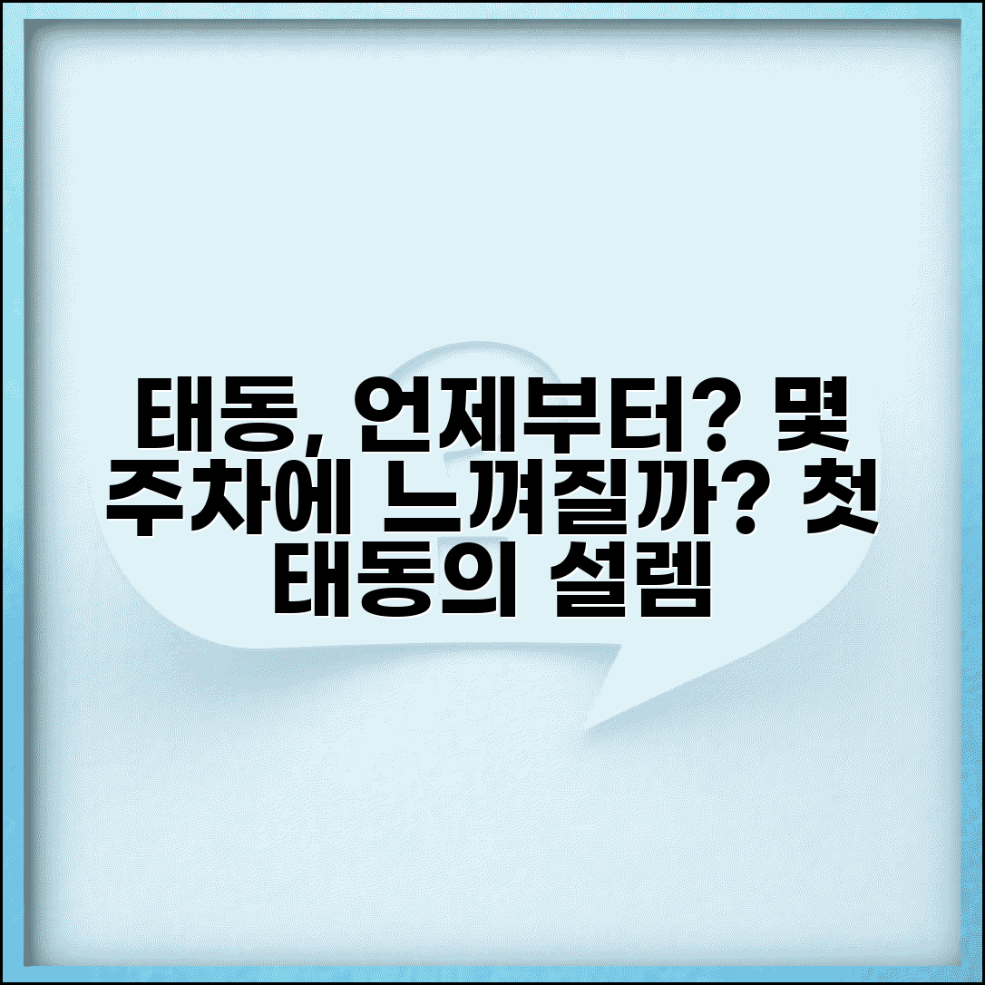 태동 시작 시기 느낌 | 태동 몇주 느껴지나