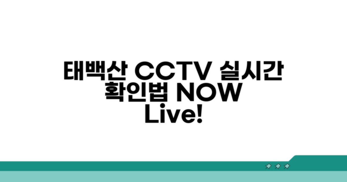 태백산 CCTV 실시간 확인법