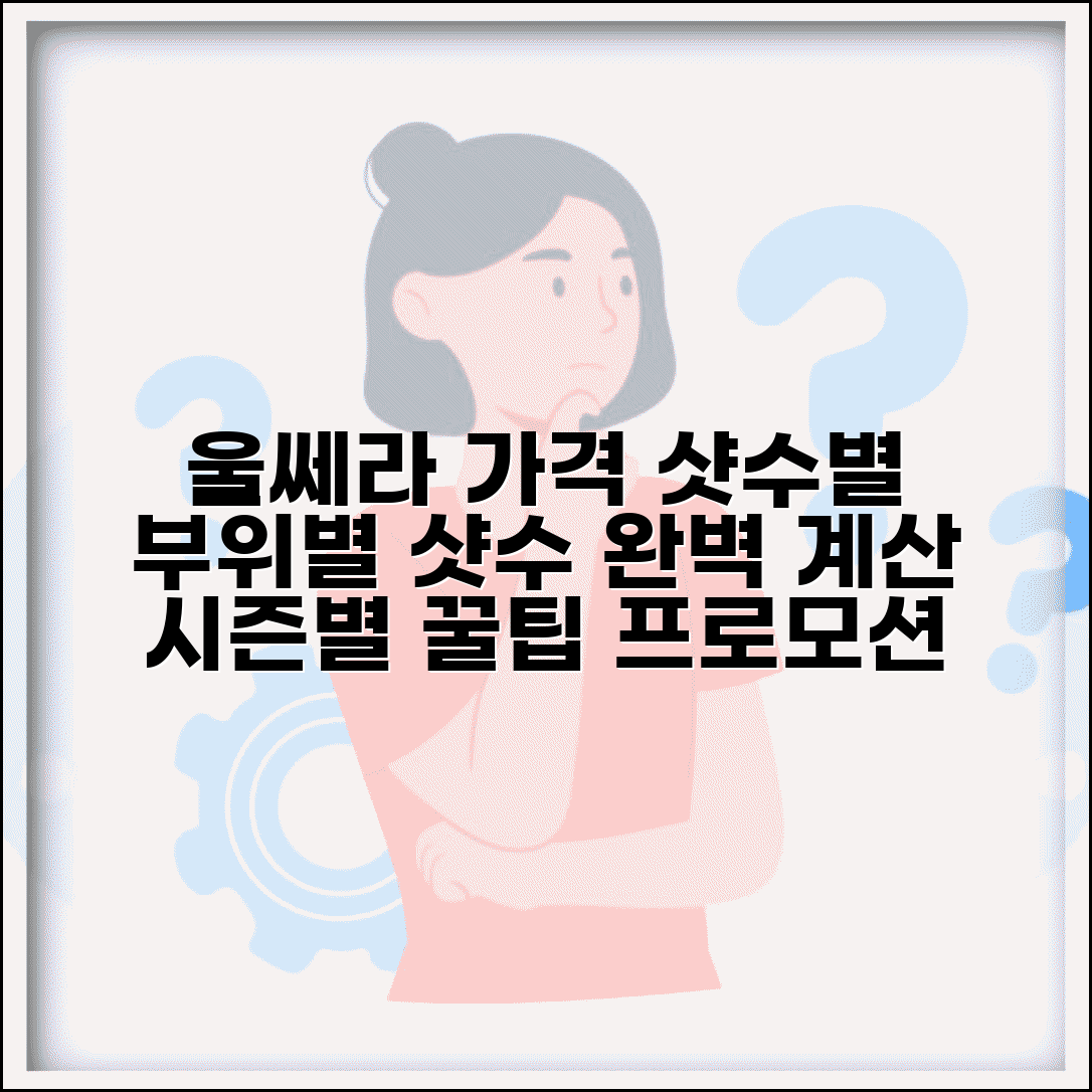 울쎄라 가격 샷수별 총정리 | 부위별 필요 샷수 계산법 | 시즌별 프로모션 정보