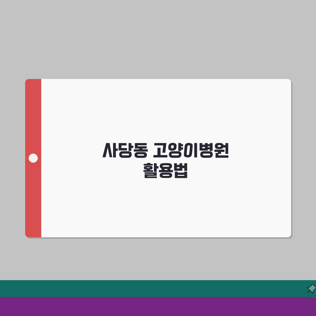서울 동작구 사당동 고양이병원 | 중성화수술 | 호텔링, 종합검진 완벽가이드: 7가지 핵심