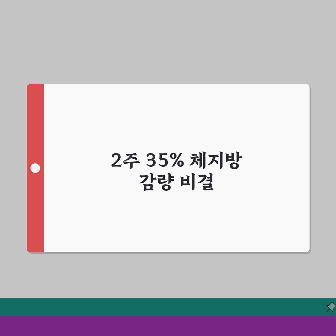 체지방률 35% 2주만에 감량한 식단공개 솔직후기, 진짜 가능해요!