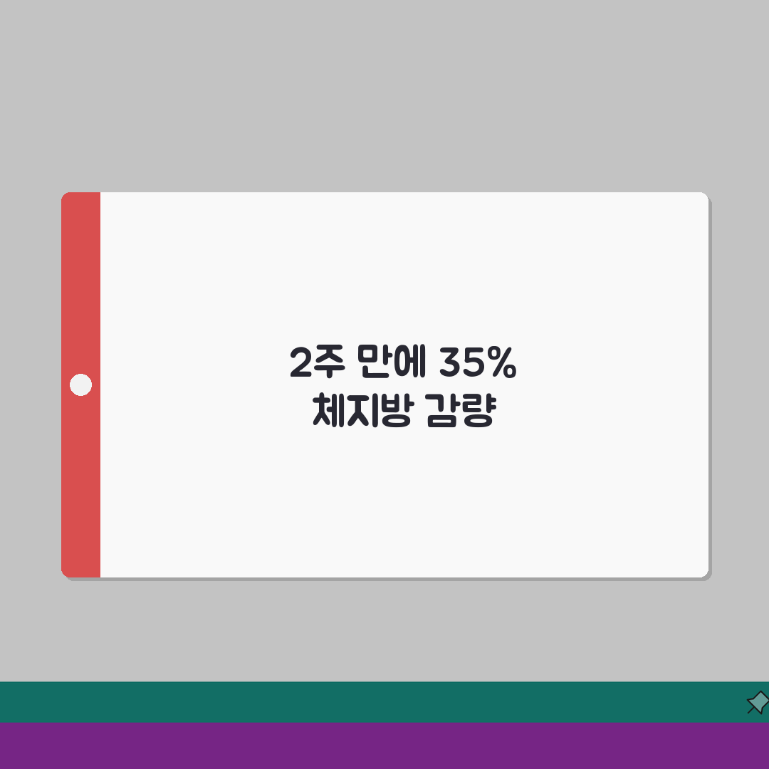 체지방률 35% 2주만에 감량한 식단공개 솔직후기, 진짜 가능해요!