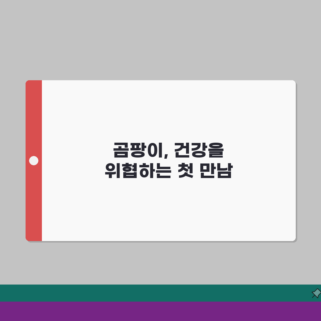 벽지 곰팡이 건강영향 | 알레르기/호흡기질환 + 환기관리 중요성 직접 해봤어요!