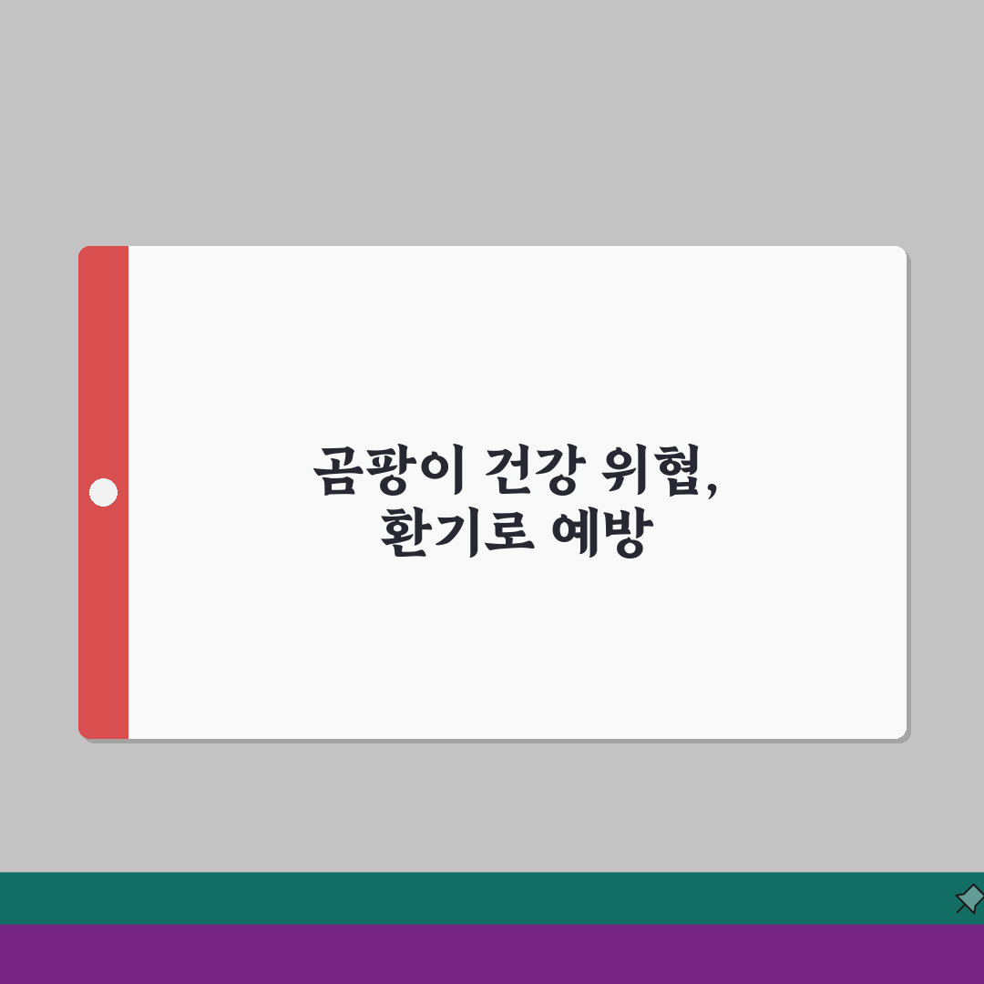 벽지 곰팡이 건강영향 | 알레르기/호흡기질환 + 환기관리 중요성 직접 해봤어요!