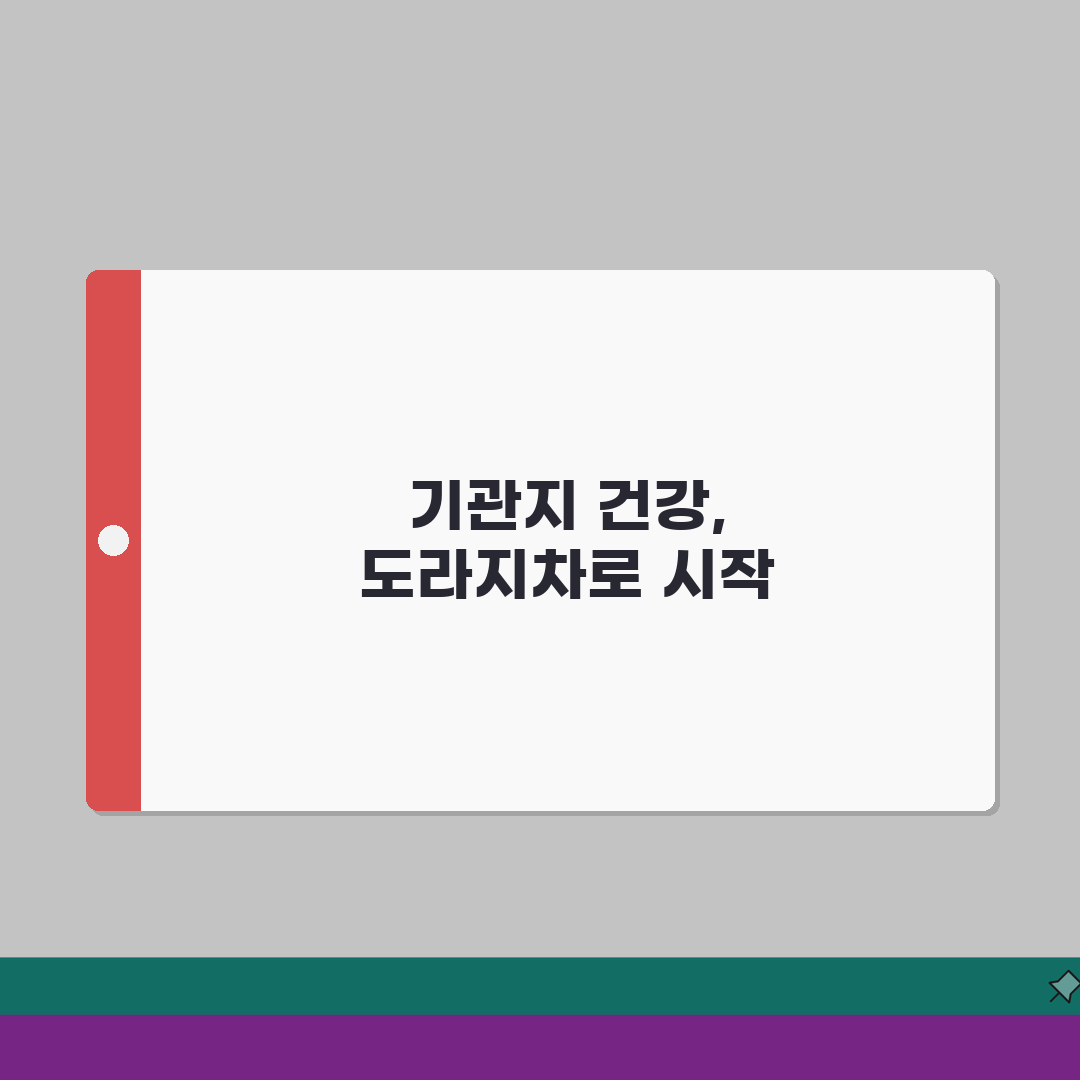 도라지차 효능 기관지 건강 | 도라지차 건강 효능과 끓이는 법 추천!